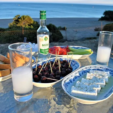 Kiotari Jewel Private Beachfront Oasis Villa Asklipiion